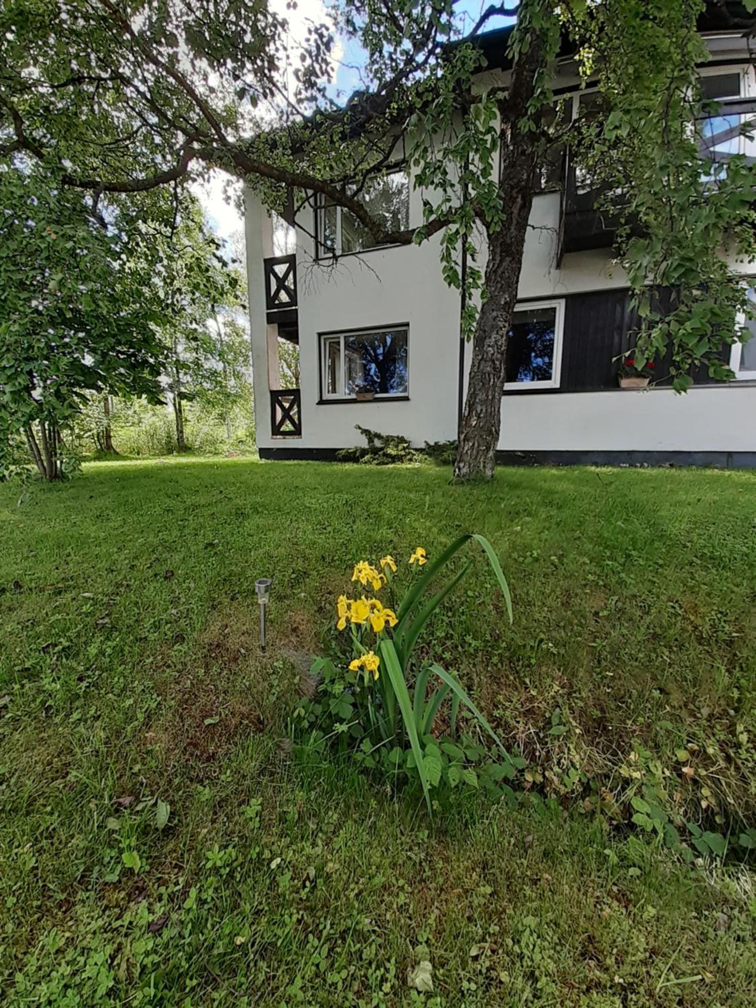 Tuule Villa Κουρεσάαρε Εξωτερικό φωτογραφία